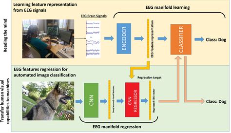 Deep Learning Human Mind For Automated Visual Classification Center For Research In Computer