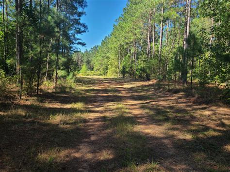 Monument Road Retreat, Newberry County, SC, Recreational/Timberland, SE