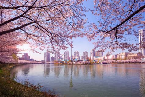  Terbaru 30 Foto Pemandangan Kota Korea Selatan - Kumpulan ...