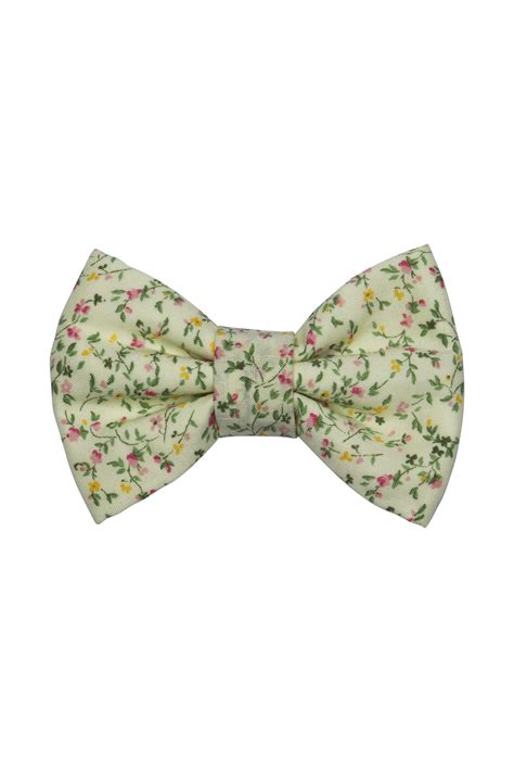 Tulips - Pet Bowtie — Lucie & Co