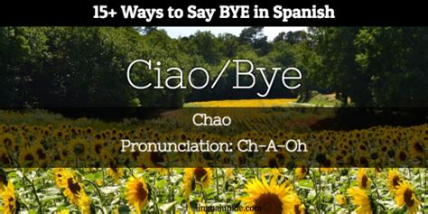 See you tomorrow!me voy a dormir. 15 Ways to Say Bye in Spanish (Audio Inside)