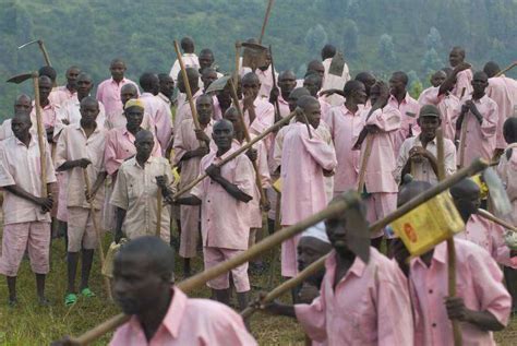 Prisoners Take Hoes And Head Out Into Fields Surrounding Gitarama