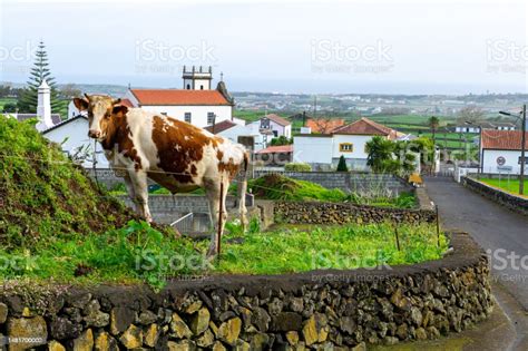 Terceira Lajes Portuguese Island Of Terceira In The Autonomous Region