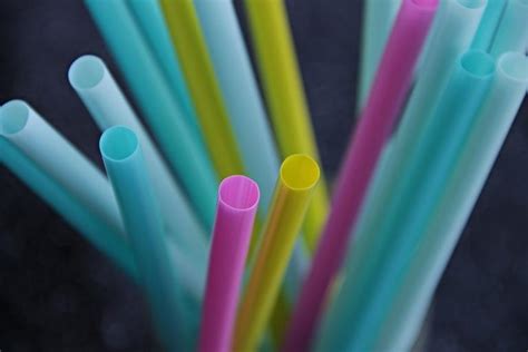 Why Banning Straws Will Not Save The Oceans Gene Veith