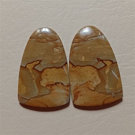 Natural Owyhee Picture Jasper Cabochon Pair Matched Pair Etsy