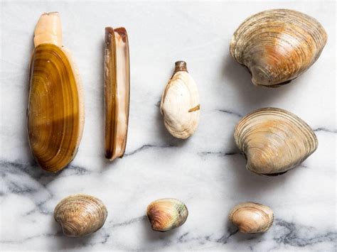 A Guide To Clam Types And What To Do With Them In Clam Recipes Razor Clams Recipe