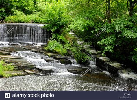 Yarrow Valley Country Park Lancashire England Stock Photo Alamy