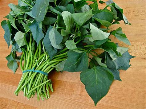 Miang Kam uses Bai Cha Plu NOT Betel Leaf (Bai Plu) « Thai ...