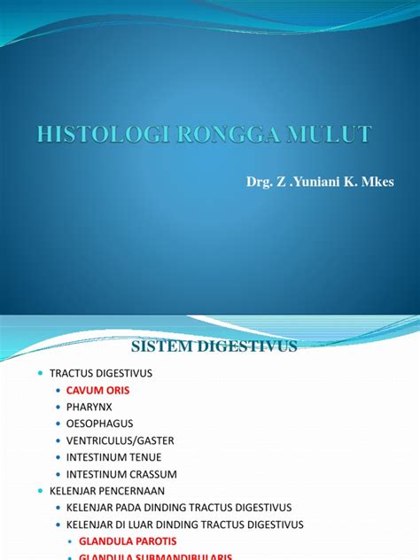 Histologi Rongga Mulut 2017 Pdf
