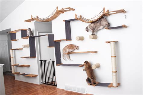 Catastrophicreations Cat Play Set Wall Mounted Lounge Climb Lounge