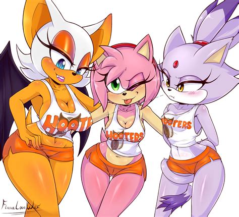 Sonic X Hooters By Flamelonewolf Hentai Foundry