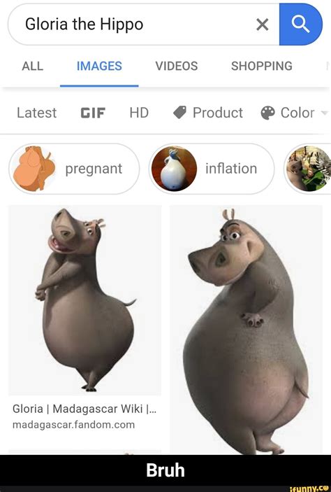 Gloria The Hippo X E Pregnant O Inflation Gloria I Madagascar Wiki I