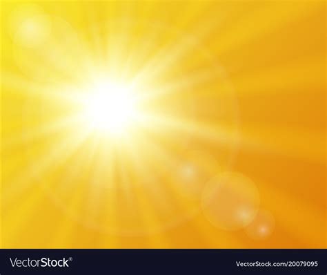 Sunflower among other spring summer flowers at sunshine. Sunny background sunshine background Royalty Free Vector
