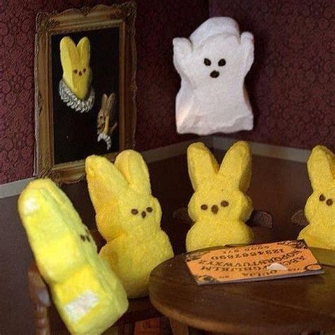 Hahaha With Images Halloween Funny Halloween Fun Easter Peeps