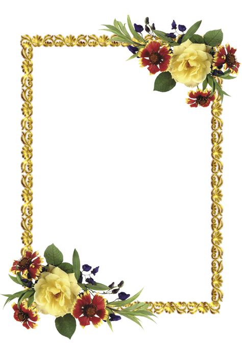 Flower Border Design Png - Beautifull Rose
