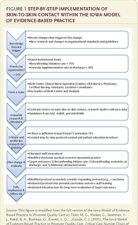 Implementing Skin To Skin Contact At Birth Using The Iowa Model