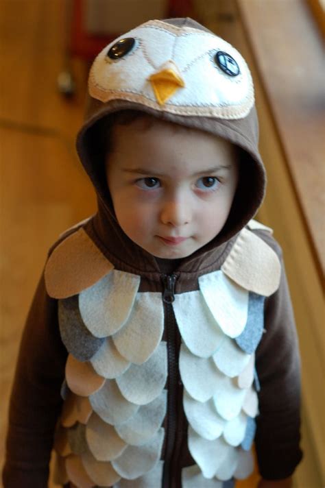 Will In His Barn Owl Costume Owl Costume Toddler Owl Costume