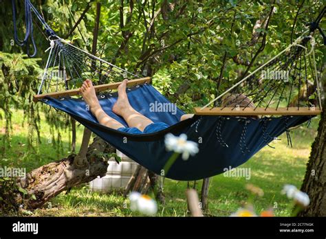 Woman Relaxing In Hammock During Summer Holidays Stock Photo Alamy