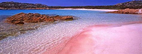 Cette plage rose se trouve à budelli, l'une des îles de l'archipelago ; Spiaggia Rosa, Isola Budelli, Sardinia | Sardinië, Italië ...