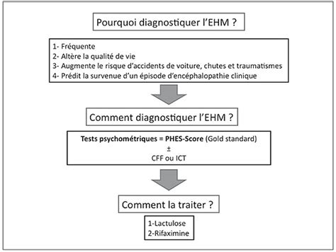 Encéphalopathie Hépatique Au Cours De La Cirrhose Fmc Hge