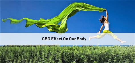 Born with the moon in cancer, you are likely to have an innate need to nurture, support and protect. CBD Effect On Our Body | Blue Moon Hemp Wholesale