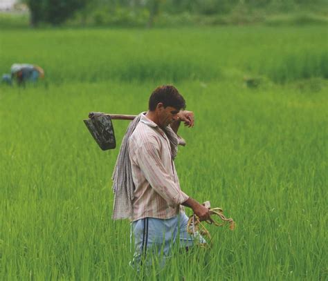 Rethinking Traditional Indian Farming Approaches
