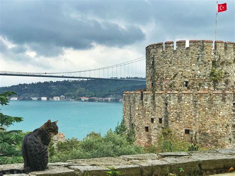 Istambul é a cidade mais populosa da turquia, assim como seu centro cultural e financeiro. Istambul (Turquia) - 3 passeios imperdíveis em Istambul ...