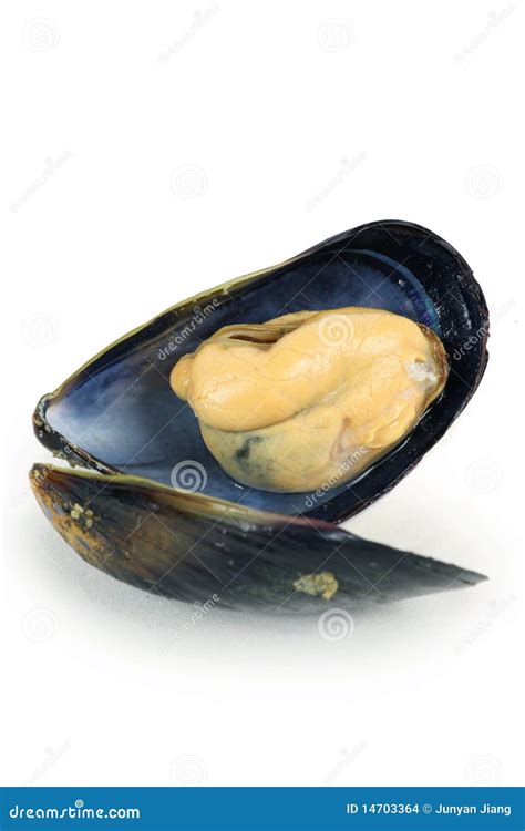 Fresh Mussel Stock Photo Image Of Dinner Natural Black 14703364