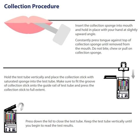 Mouth Swab Drug Test Detection Period Chart: A Visual Reference of