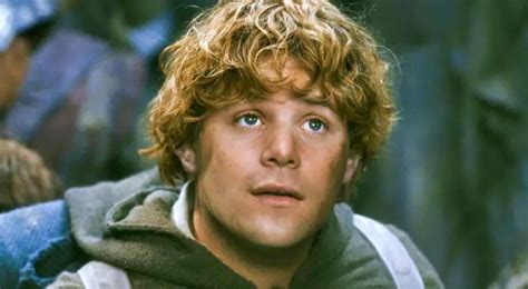 Samwise Gamgee From The Lord Of The Rings Charactour
