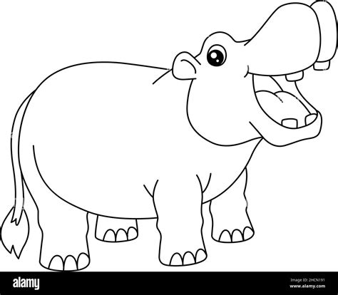 Hippopotamus Coloring Page Isolated For Kids Stock Vector Image And Art