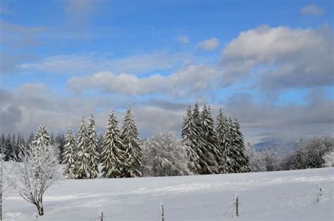 Free Images Landscape Tree Nature Outdoor Rock Branch Mountain