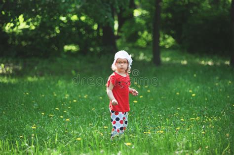 Little Girl Walks In The Forest Stock Image Image Of Sunny Beautiful