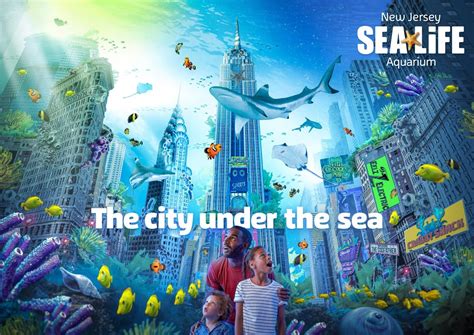 New Jersey Sea Life® Aquarium And Legoland® Discovery Center New Jersey