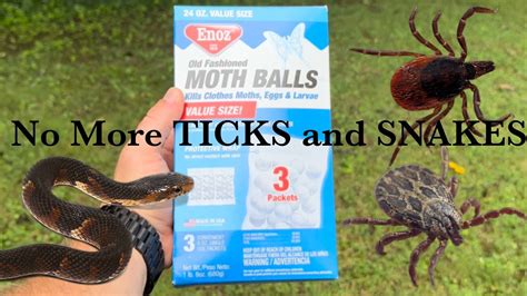 How To Get Rid Of Ticks And Snakes Easy Diy Home Remedy The Best