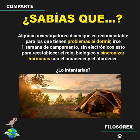 Claro Antes No TenÍamos Tanta TecnologÍa⛺📵 Sabias Que Datos