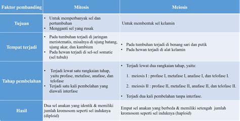 Perbedaan Mitosis Dan Meiosis Dalam Bentuk Tabel Mutualist Us