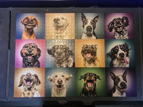 I Really Loved Doing This Puzzle Trefl Puzzles Funny Dog Portraits