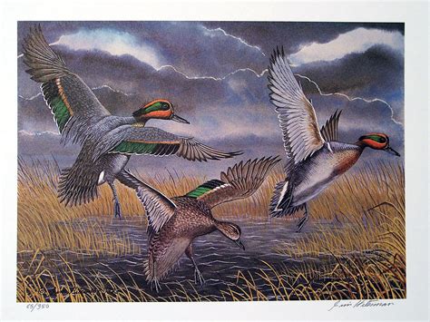 Green Winged Teal Duck Painting By Jim Hitesman Fine Art America