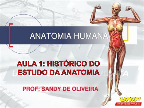 Anatomia E Fisiologia Humana Enfermagem