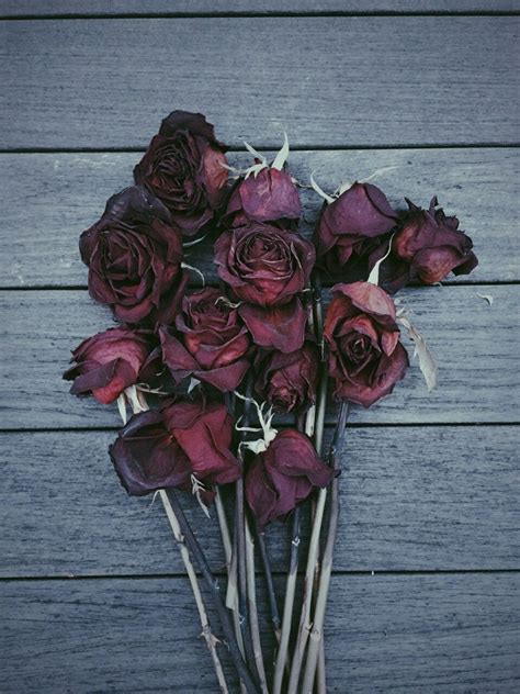 See the inspirations and moodboards in the. Aesthetic Rose Wallpapers - Top Free Aesthetic Rose ...