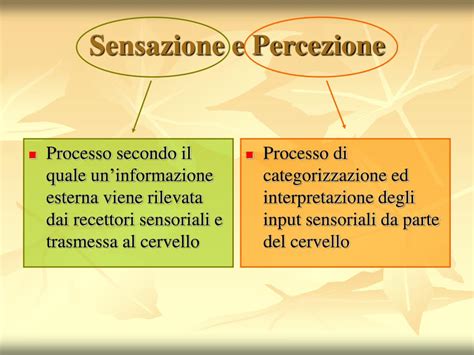 Ppt La Percezione Powerpoint Presentation Free Download Id1268308