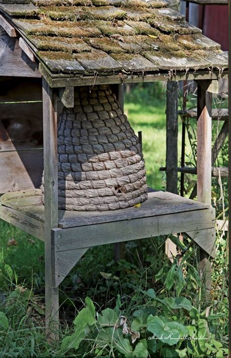 Sheltered Bee Skep Bee Skep House Bee Friendly Garden Bee