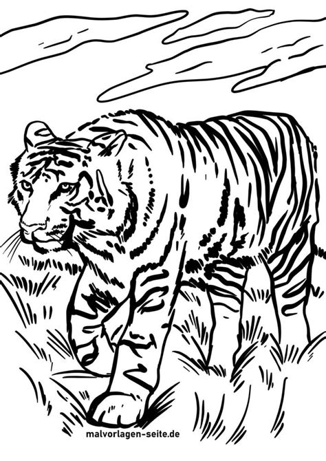 Tolle Ausmalbilder Tiger Wilde Tiere Kostenlose Ausmalbilder