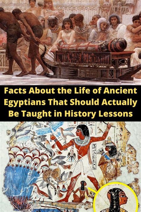 the ancient egyptians wtf fun facts fun facts history facts momcute