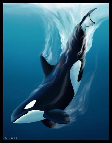Orca Art Arte Orca Orca Art Dolphin Art Orca Tattoo Whale Artwork