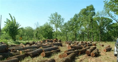 Puedes sugerir una descripción de éste álbum y publicar nuevas fotos en él. Actividades primarias | Actividades Economicas