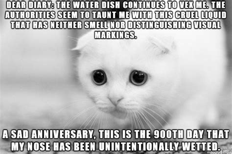 Sad Meme Cat Diary Image Memes At