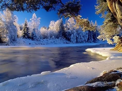 Download Bing Winter Wallpapers