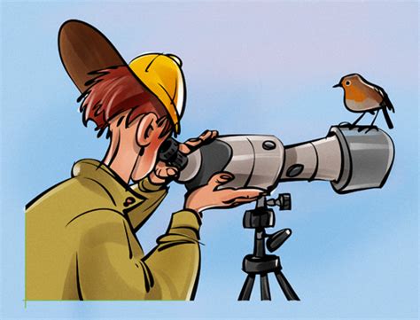 Per Hardestam Illustration Birdwatcher